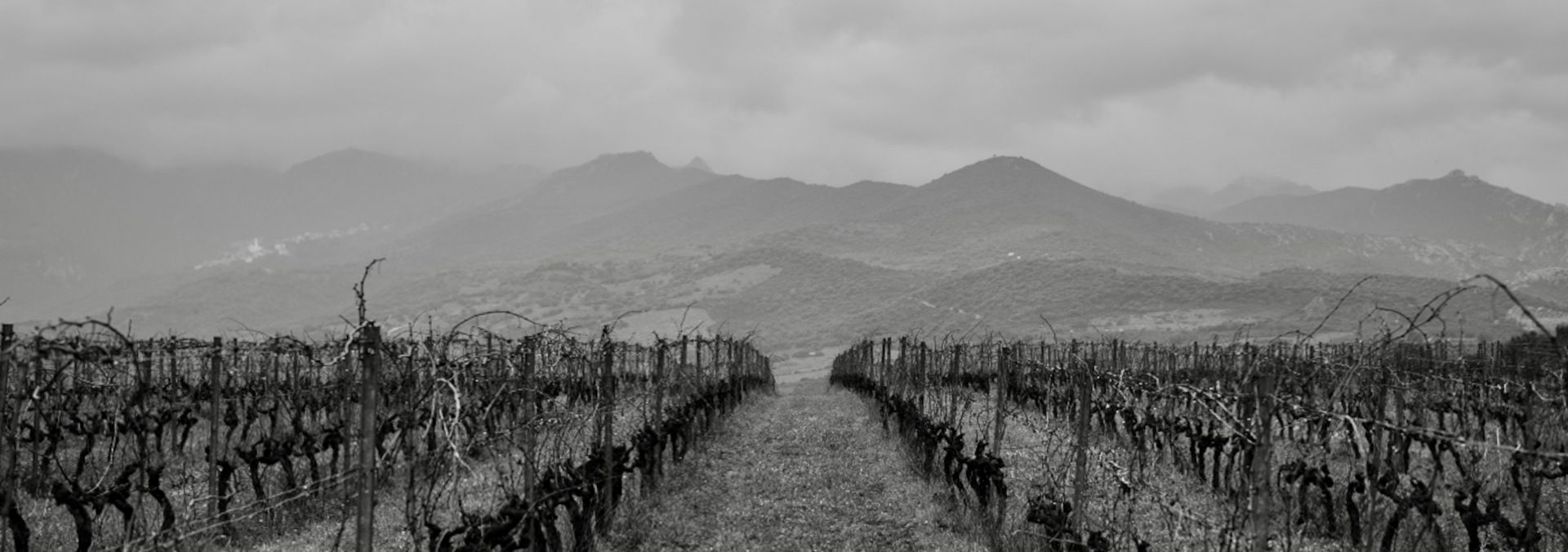 Domaine Santamaria - Rue des Vignerons