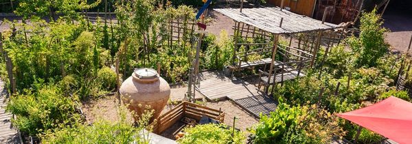 Juego de jardín sensorial: ¡De la tierra al cielo!-photo