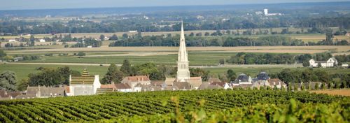 Domaine Yves Boyer Martenot photo