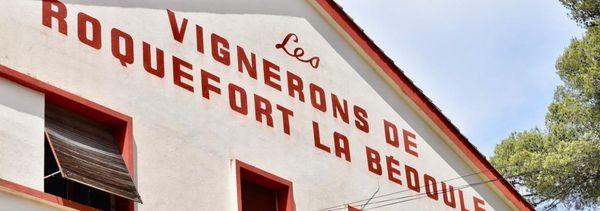 Coquillages et vin blanc-photo