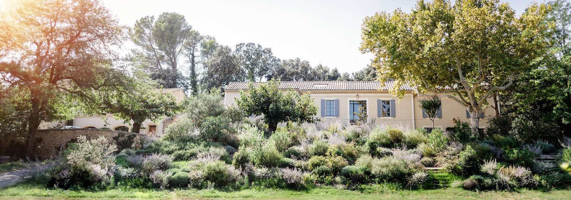 Clos du Caillou - Rue des Vignerons