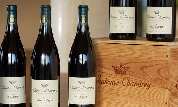 Découverte de 3 vins des domaines familiaux-photo