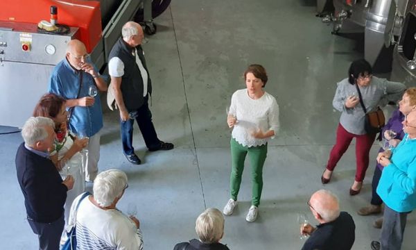 Entdeckungstour-photo