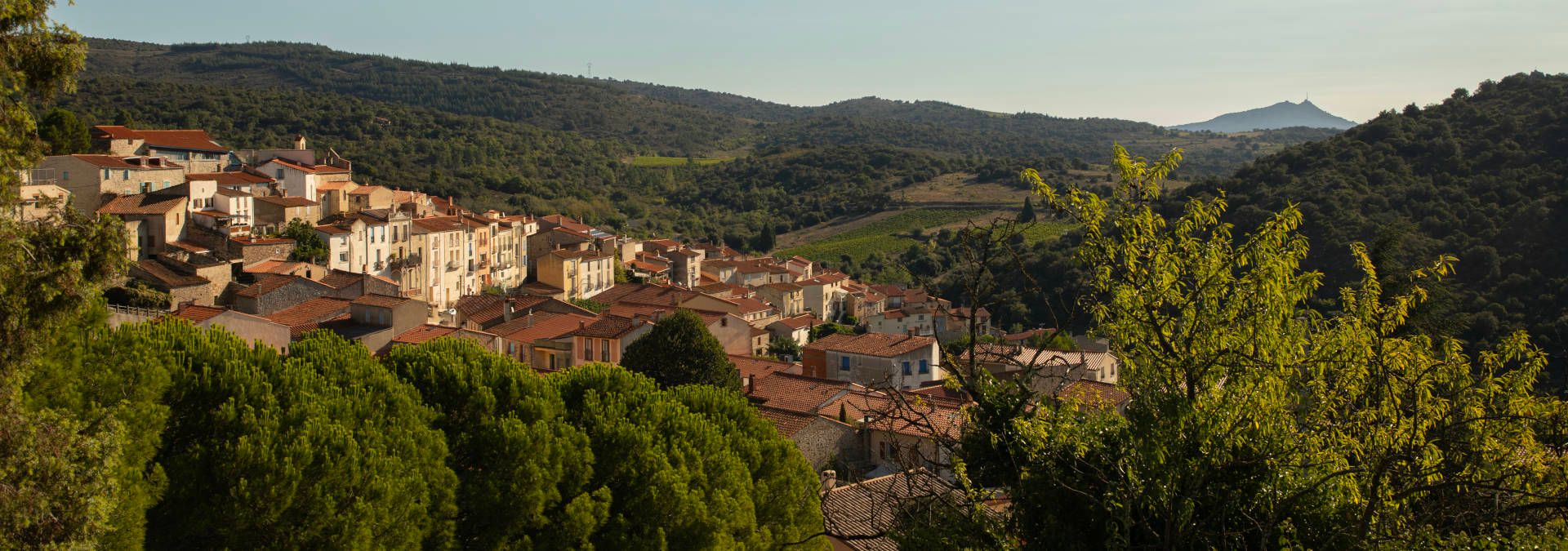 Domaine Riberach - Rue des Vignerons