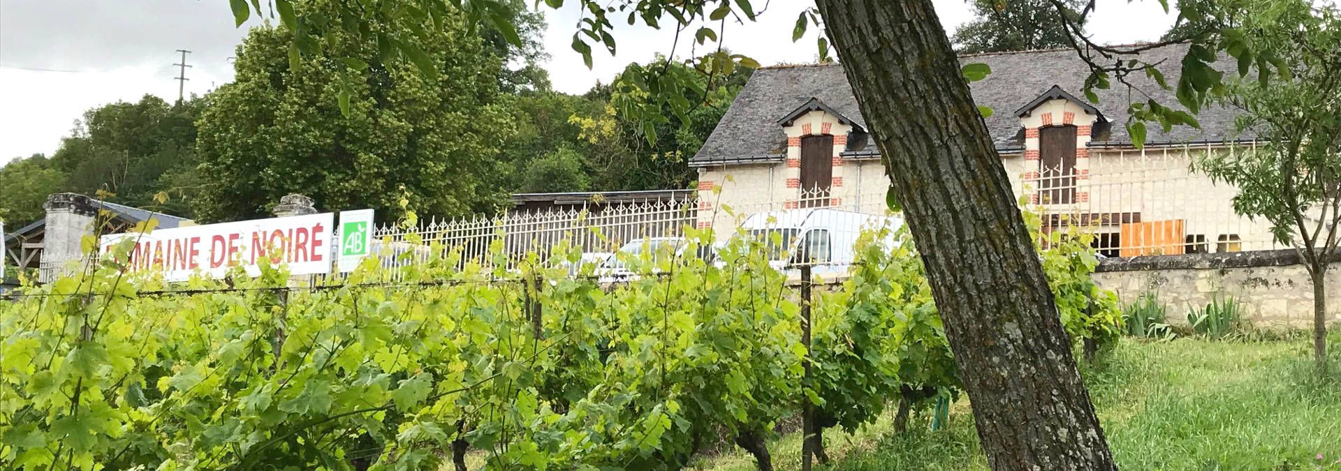Domaine de Noiré, Rue des Vignerons