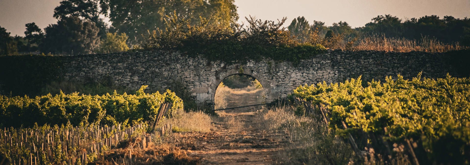 Château Climens - Rue des Vignerons