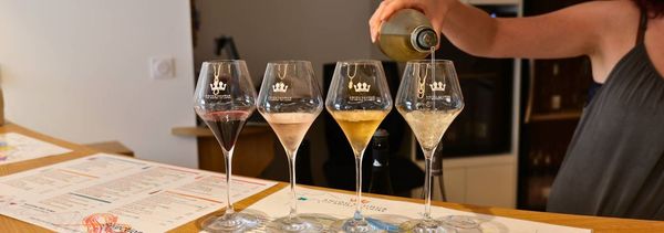 La demi heure du vignoble-photo