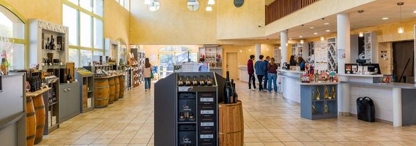 Discovery tasting-photo