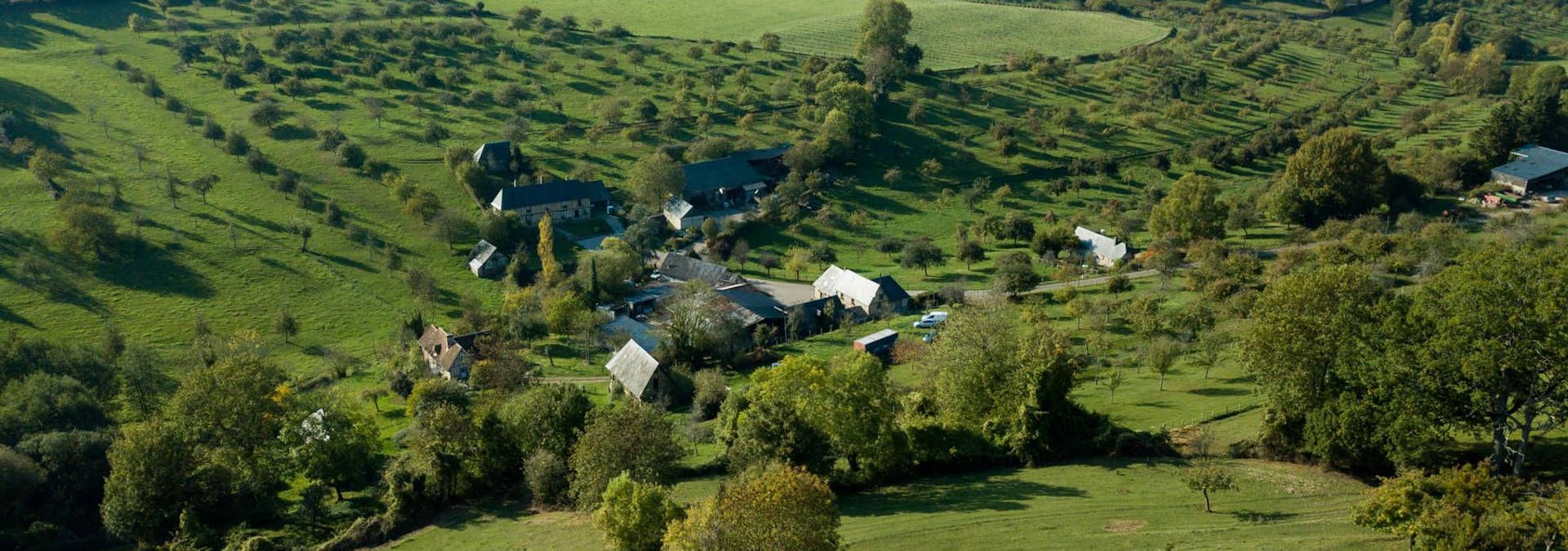 Domaine de la Galotière - Rue des Vignerons