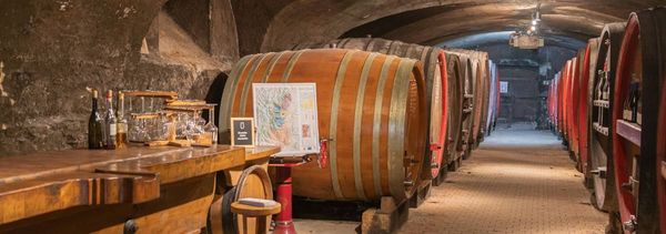 Discovering Beaujolais and the Beaujolais Crus-photo