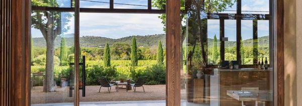 Picnic en los viñedos-photo