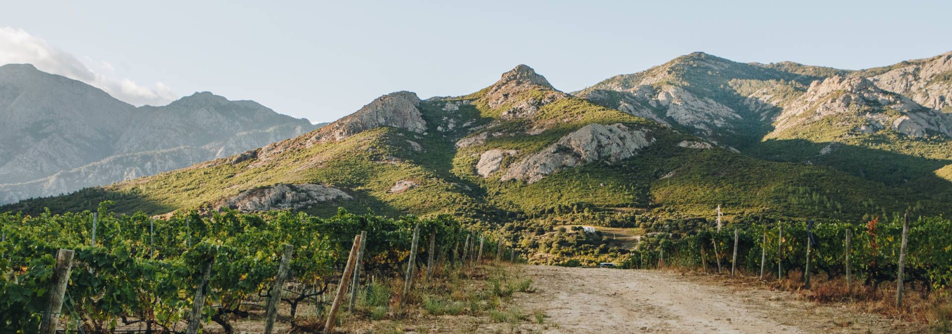 Domaine 'Alzipratu - Rue des Vignerons