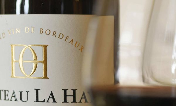 Bezoek en eten & wijn combineren-photo