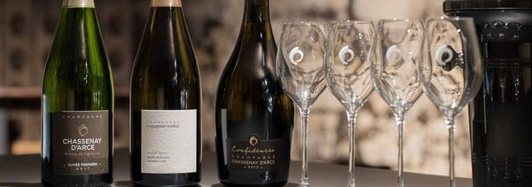 Tasting of 3 cuvées-photo
