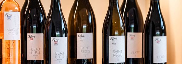 Dégustation de nos vins-photo