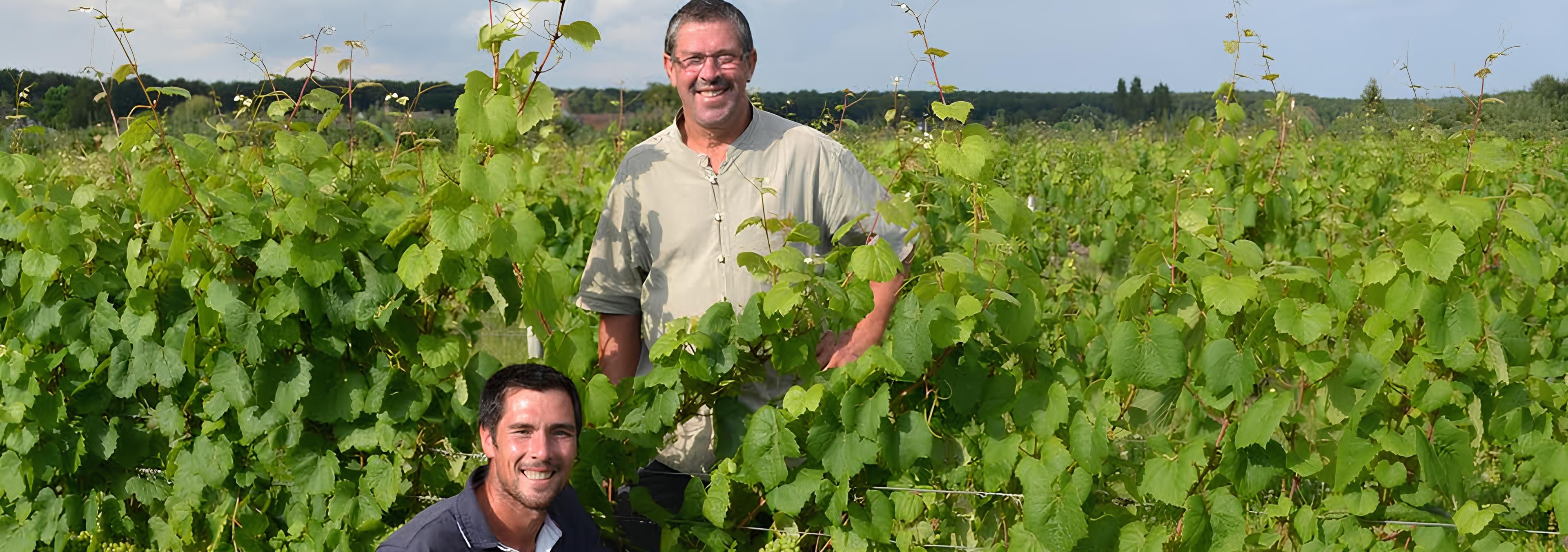 Domaine du Vardet - Rue des Vignerons