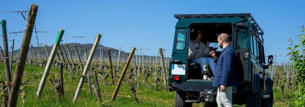 Immersion au cœur de nos 3 terroirs emblématiques en Land Rover-photo