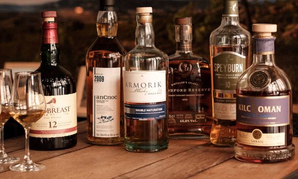 Introduction to whisky in Toulouse-photo