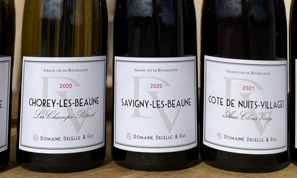 Dégustation personnalisée de vins de Bourgogne !-photo