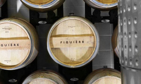 Tasting sensory journey-photo