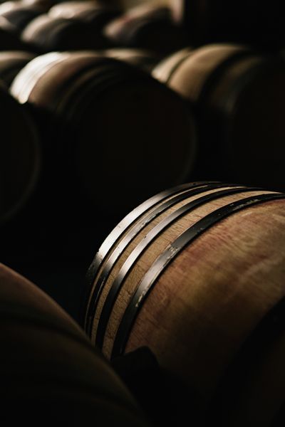 2026 Wine Sale – Prestige Tasting Tour-photo