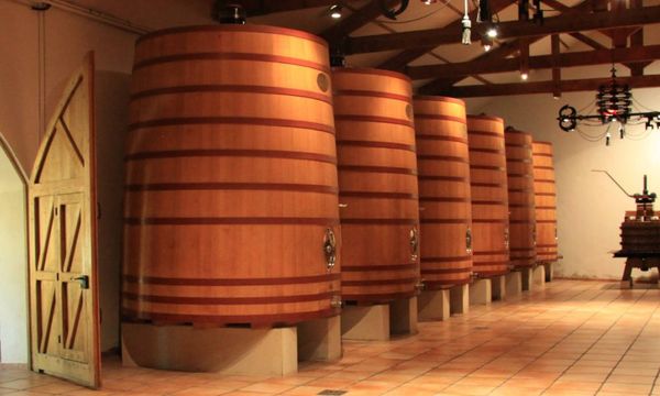 Visita a las bodegas de crianza y degustación de vinos-photo