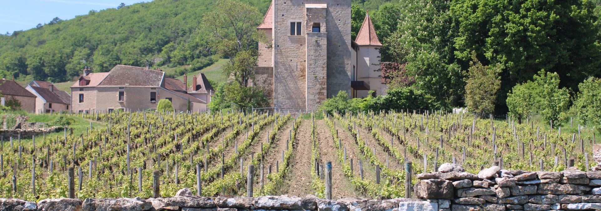 Along Burgundy - Rue des Vignerons