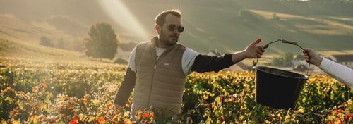 Champagne Cordoin Didierlaurent photo