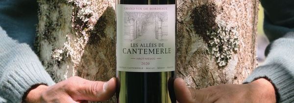 Shinrin yoku (bain de forêt) et vins à  Cantemerle-photo