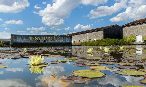 Rémy Martin Descubrimiento del centro de producción-photo