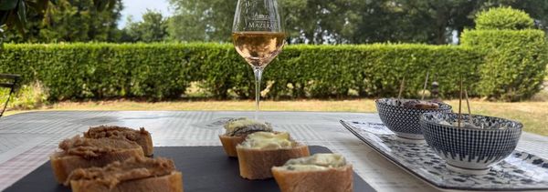 Accords vins / fromages et charcuteries locales-photo