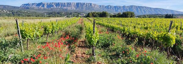 Visite découverte-photo