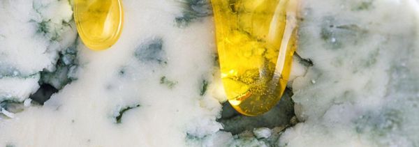 Workshop Die ungewöhnliche Verbindung von Salz und Gold-photo