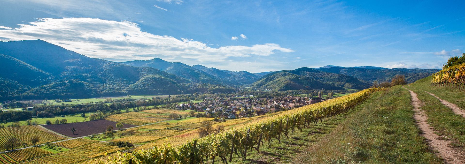 Vins Schoenheitz - Rue des Vignerons