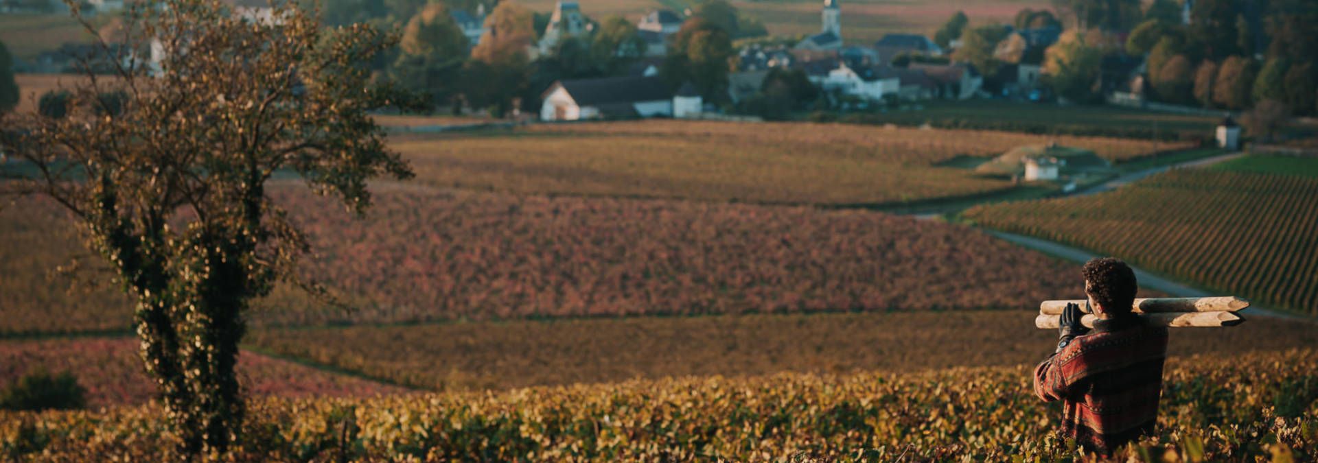 Domaine Michel Voarick - Rue des Vignerons