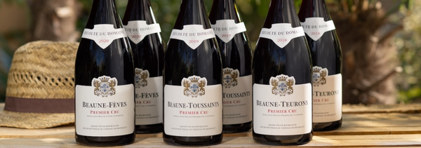 Experience Château Beaune Premier Cru-photo