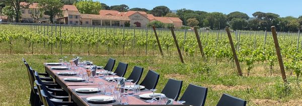 Picnic in the vineyards-photo