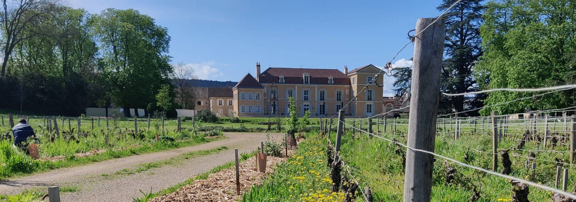 Château de Meursault - Rue des Vignerons