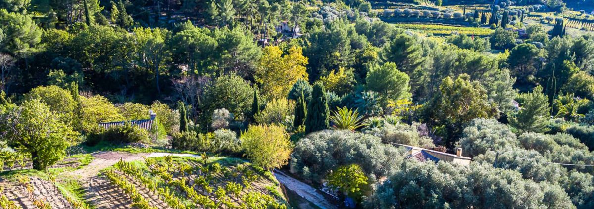 Domaine Ray Jane - Rue des Vignerons