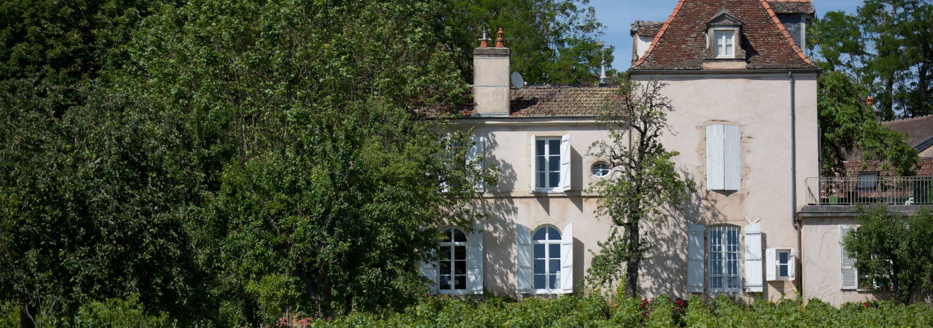 Domaine Comte Senard - Rue des Vignerons