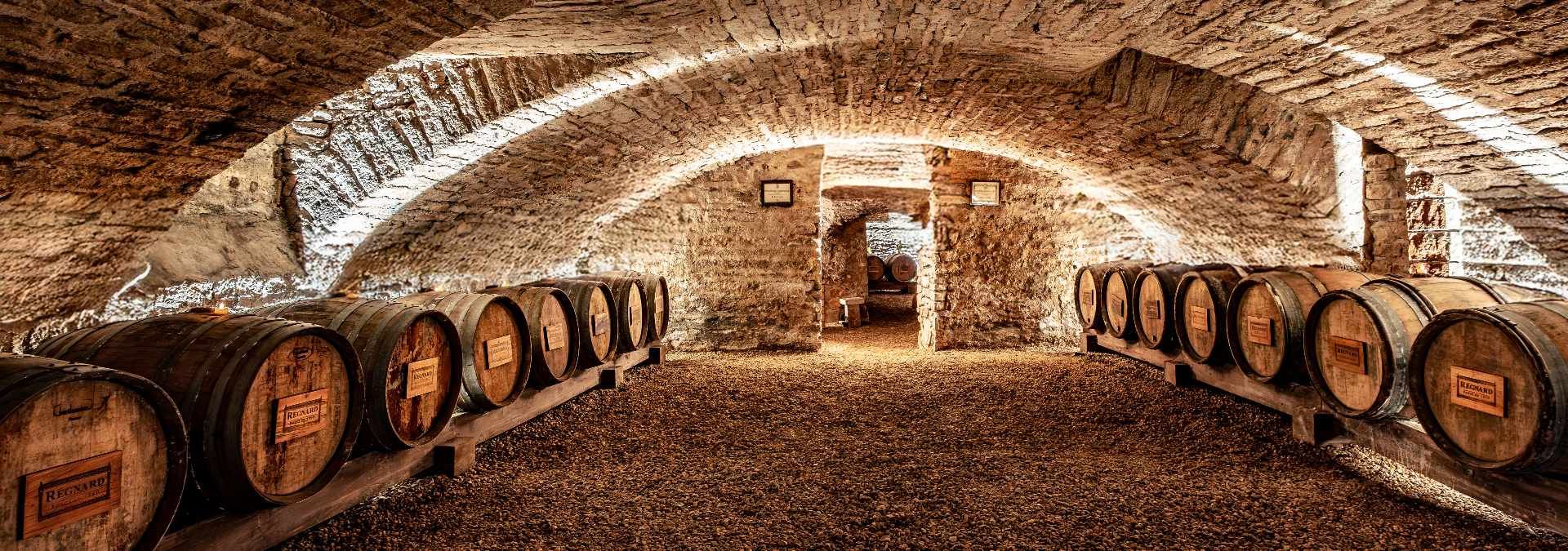 Maison Régnard - Beaune - Rue des Vignerons