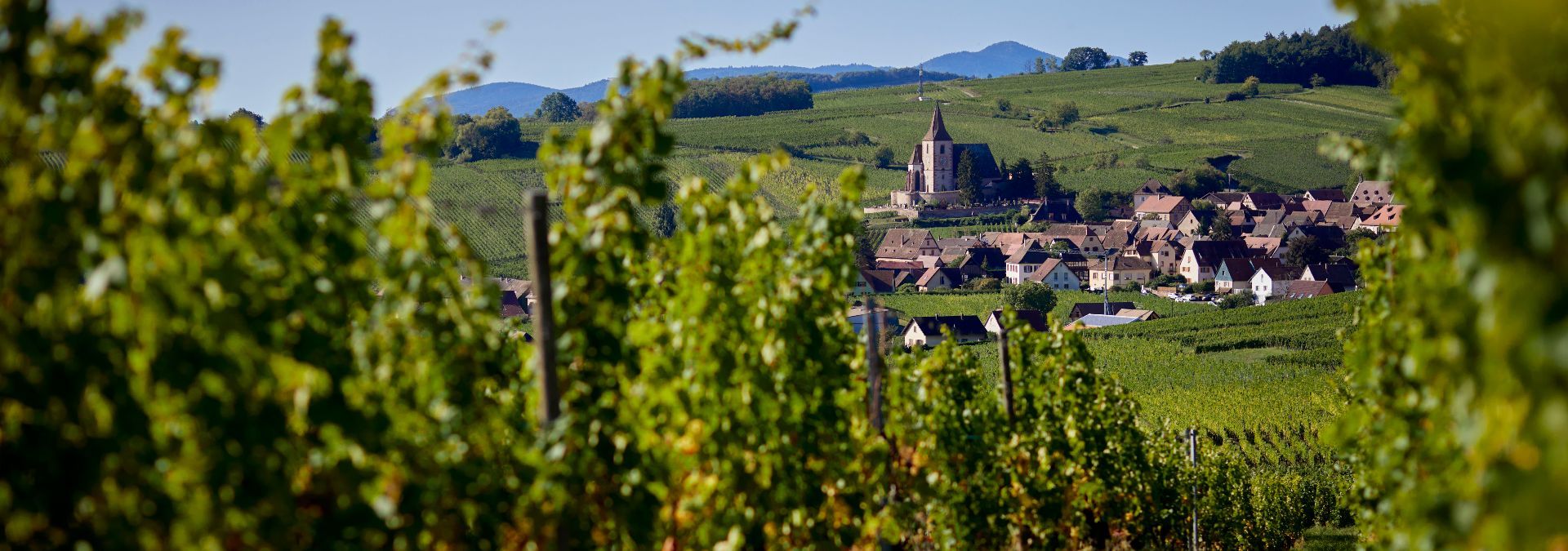 Domaine Jean Lehmann - Rue des Vignerons