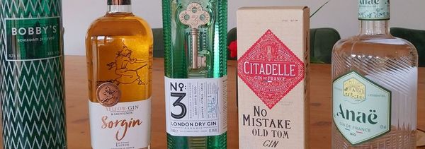 Atelier spécial gins en accord avec sélection de mets-photo