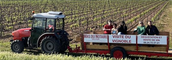 TRACTO TOUR - Entdecken Sie die Weinberge einmal anders!-photo