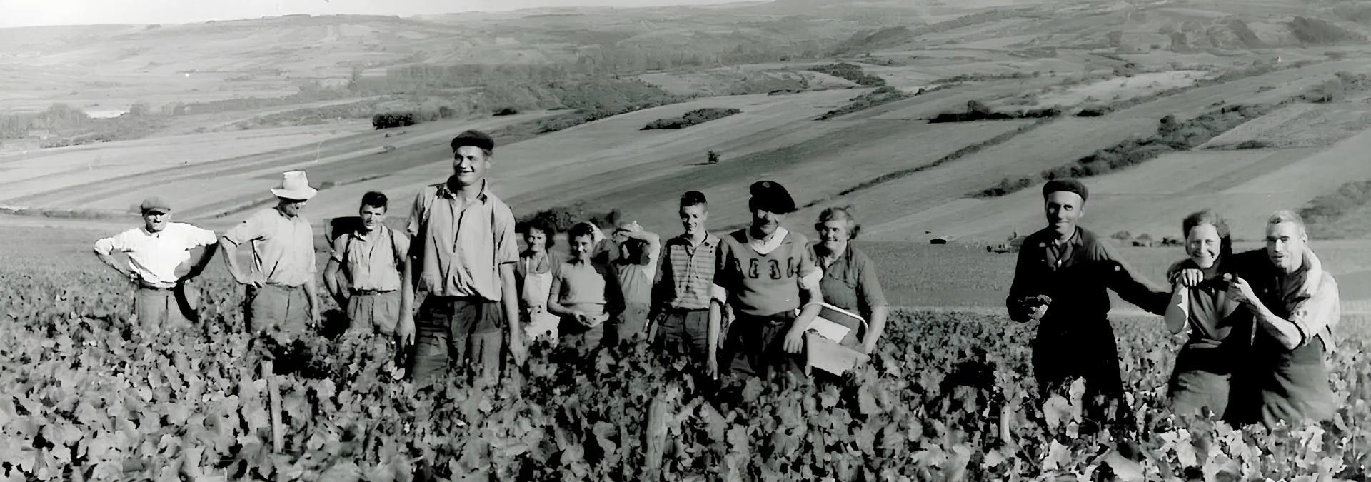 Domaine Jean Collet et Fils - Rue des Vignerons