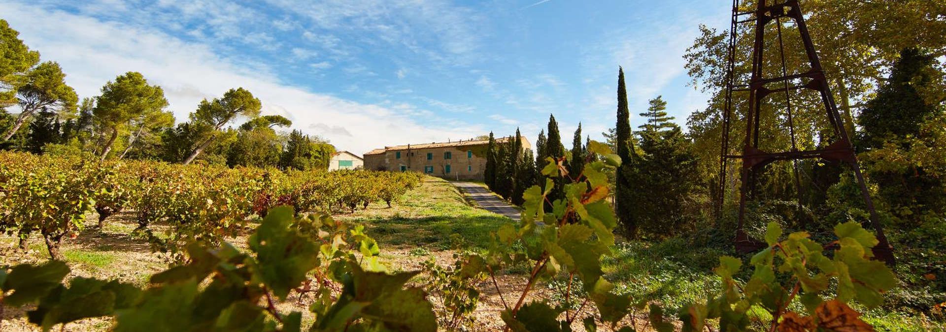 Chateau Pech Latt - Rue des Vignerons