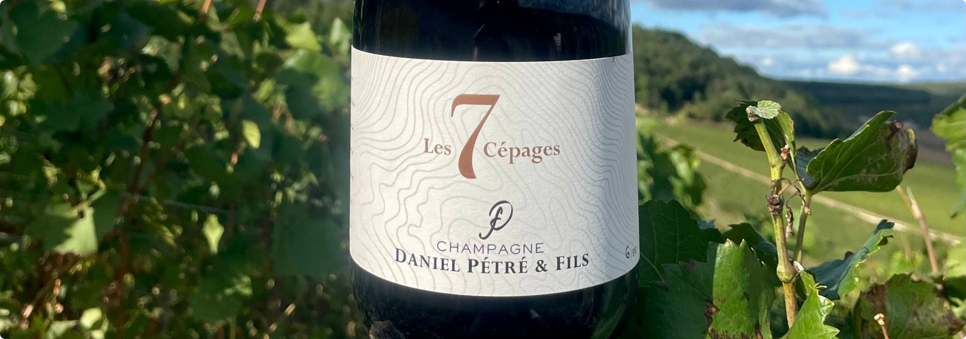 Champagne Daniel Pétré &amp; fils - Rue des Vignerons