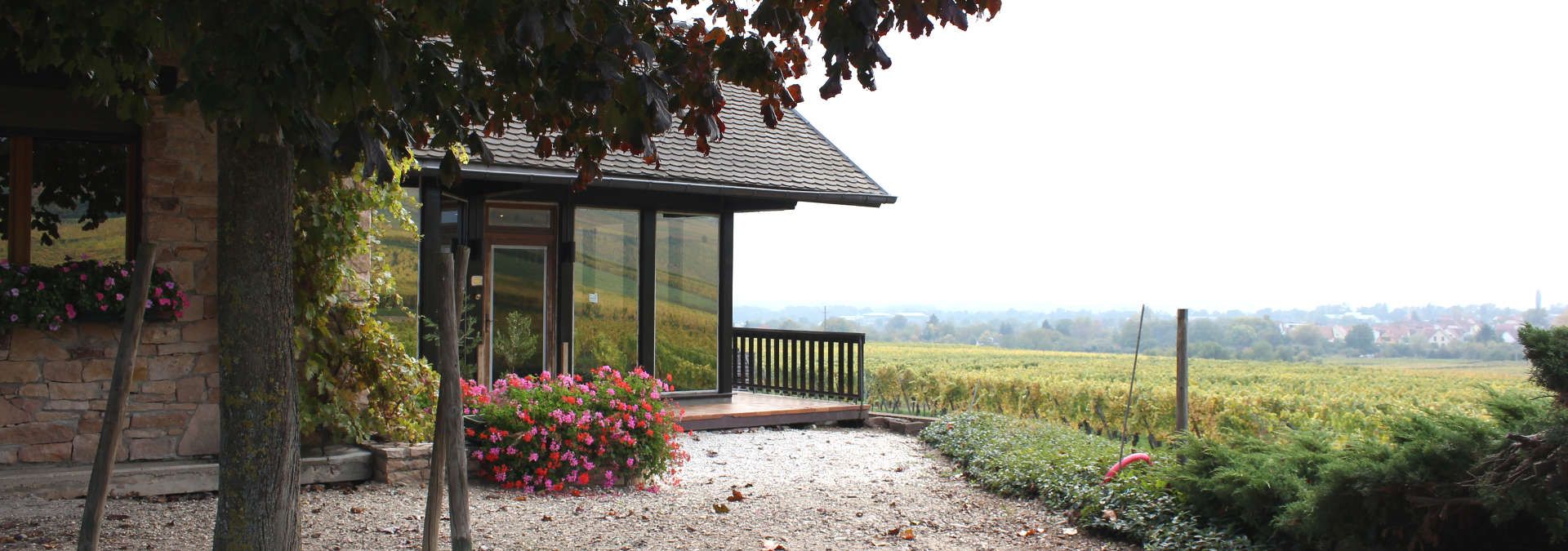 Domaine André Kientzler - Rue des Vignerons 