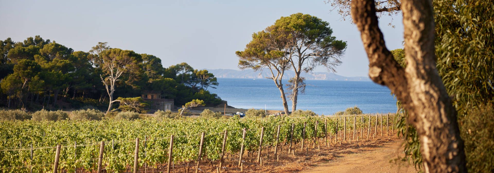 Château Malherbe - Rue des Vignerons