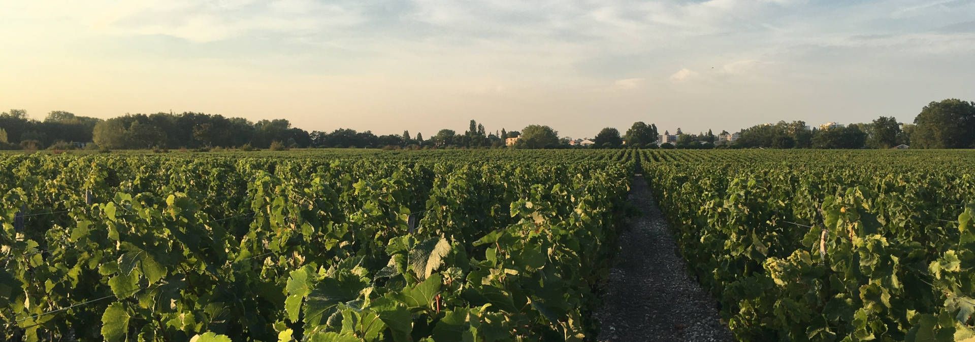 Château Luchey-Halde - Rue des Vignerons